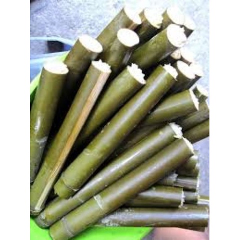cây giống cây tre nứa dùng làm cơm lam, nướng thịt