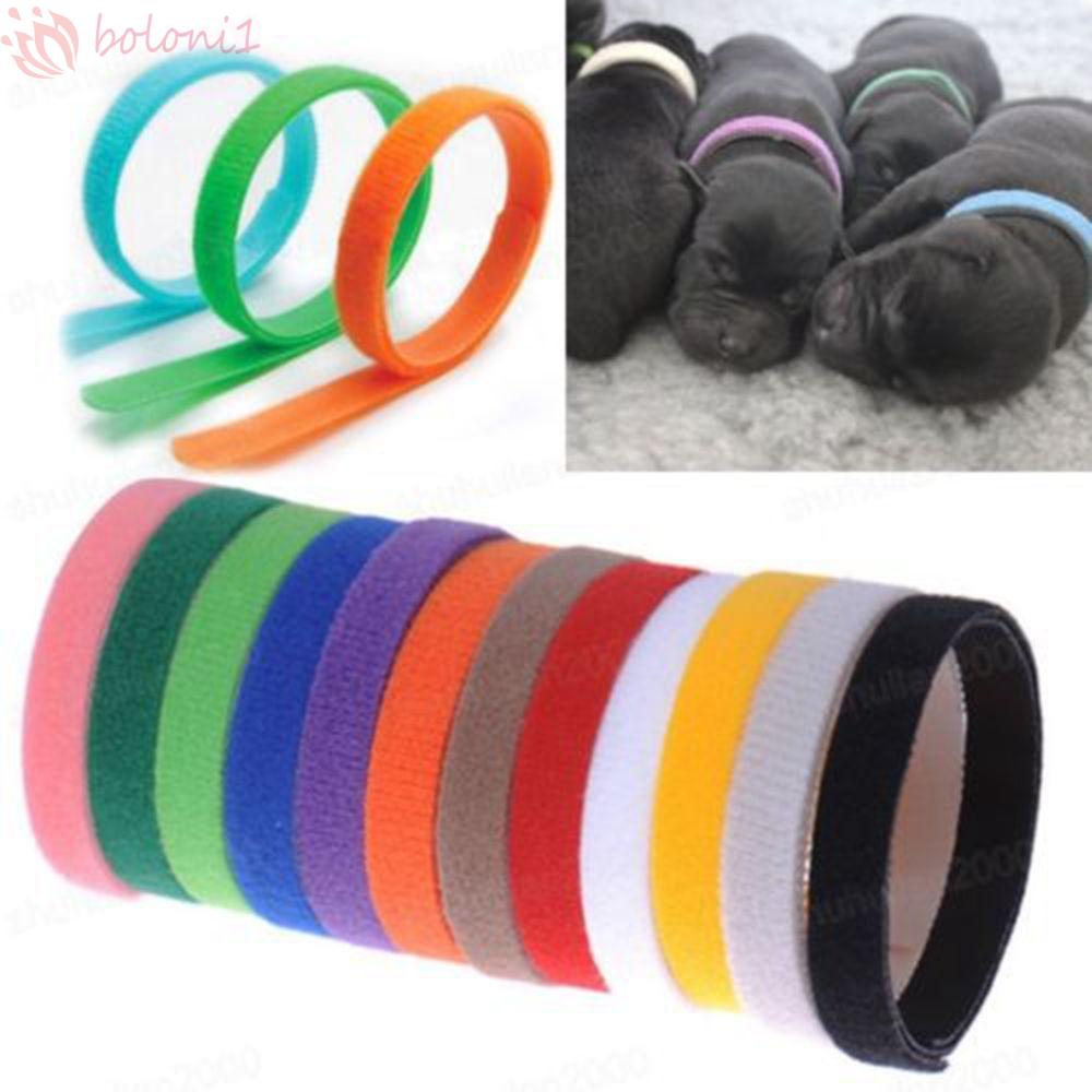 [COD] Dây Đeo Thẻ ID Nhiều Màu Bằng Nylon Tùy Chỉnh Tiện Dụng Cho Thú Cưng