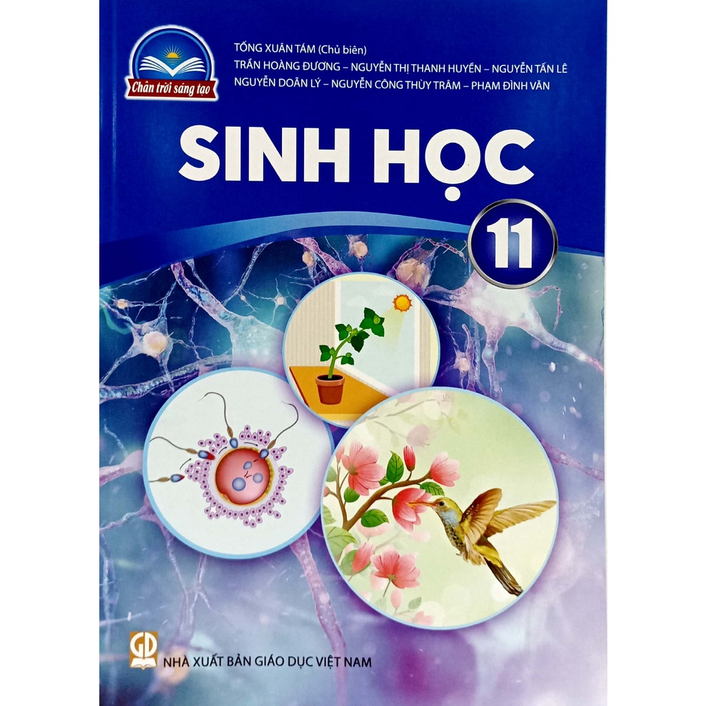 Sách Sinh Học 11 (Chân Trời Sáng Tạo) (2023) | BigBuy360 - bigbuy360.vn