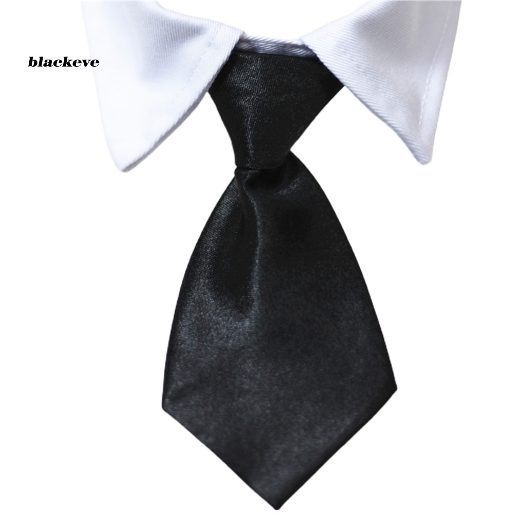 Cà Vạt Nơ Trang Trọng Lượng Nhẹ Cho Thú Cưng