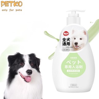 Sữa tắm cho chó, teddy bichon, golden retriever, tắm đặc biệt, sản phẩm dành cho thú cưng khử mùi
