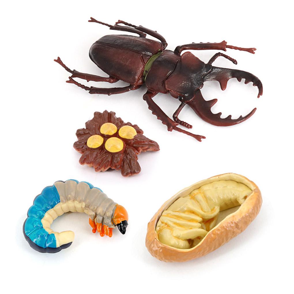 1 Bộ Mô Hình Côn Trùng Bằng Nhựa Tự Nhiên Dành Cho Bé