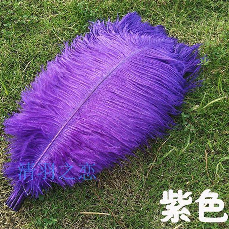 Lông Đà Điểu Dài 35-40CM Bằng Lông Vũ Dùng Làm Đồ Trang Sức / Trang Trí Tiệc Cưới / Giáng Sinh