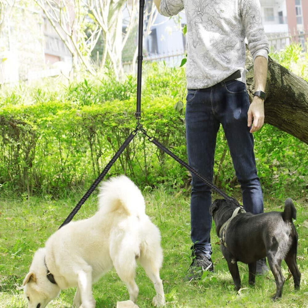 Vòng Cổ Leo Núi Cho Chó LAYOR1