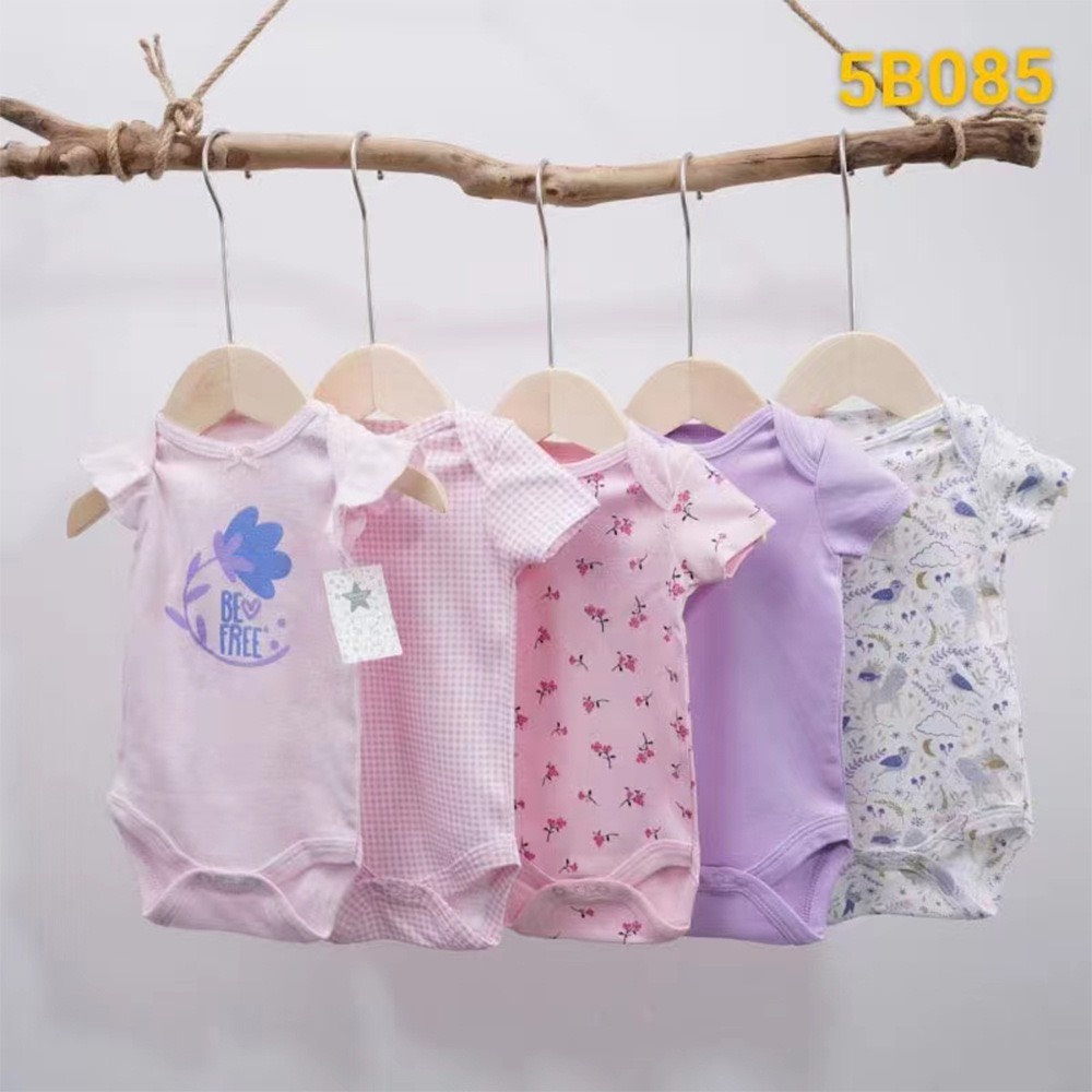 SET 5 BODY CHIP COTTON KÈM MÓC