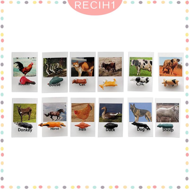 [Recih] Đồ Chơi Mô Hình Động Vật Biển Rừng Nhỏ Cho Bé Mẫu Giáo