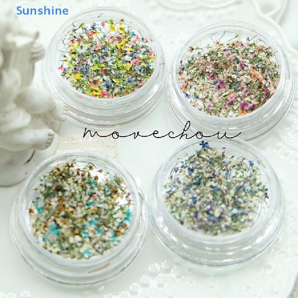 Hoa Khô 3D Nhiều Màu Sắc Dùng Trang Trí Móng Nghệ Thuật DIY