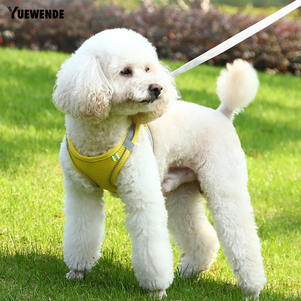 Đai Dắt Thú Cưng Đi Dạo Tiện Lợi