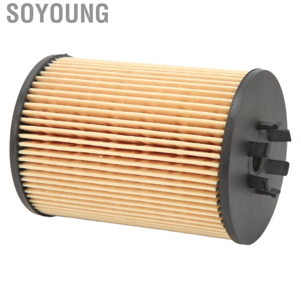 Soyoung 11427511161  Stable Performance Clean Impurities Engine Oil Filter Easy To Install for E53 E60 E63 E65 E66