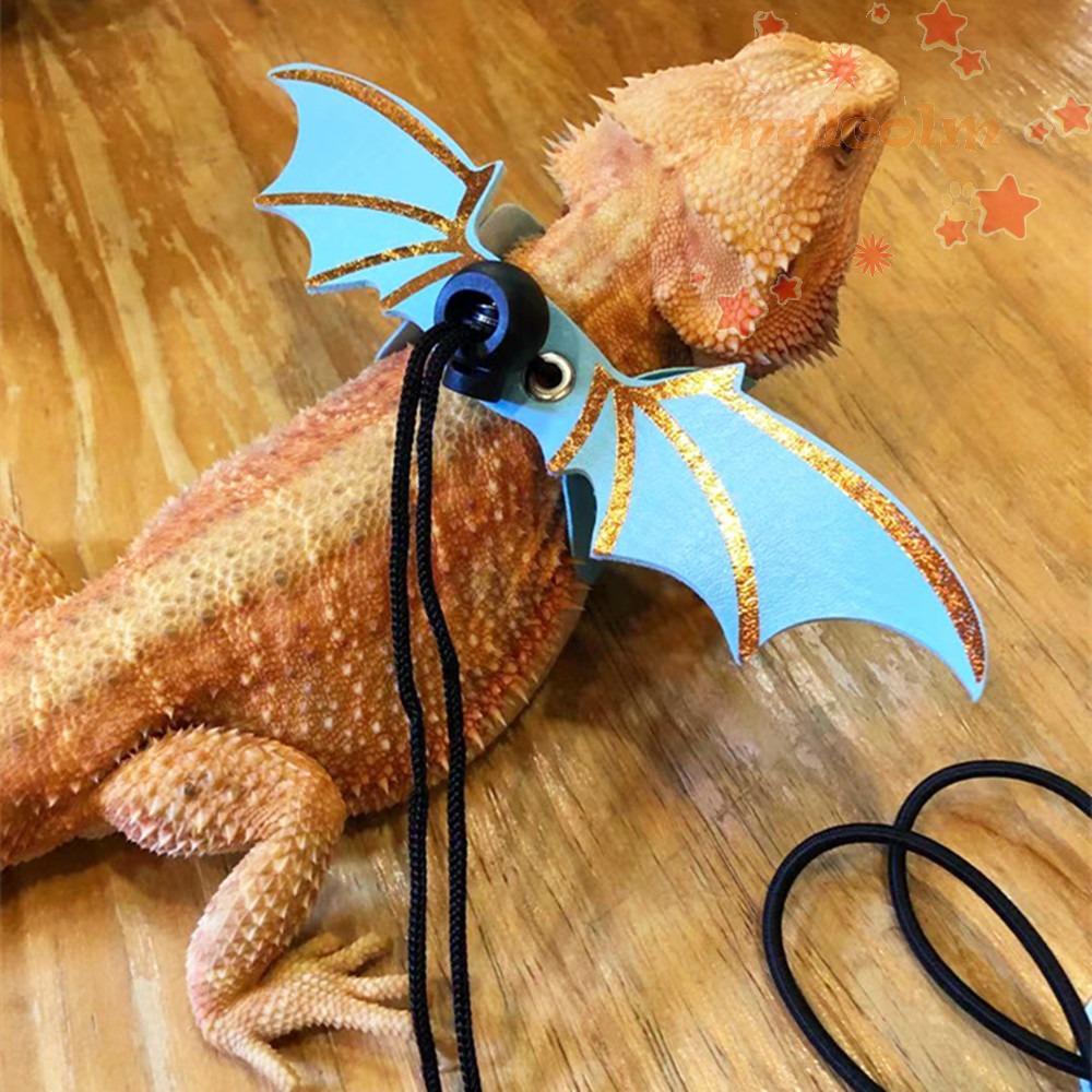 Set 3 Dây Dắt Thằn Lằn Bằng Da Mềm Nhiều Màu Sắc