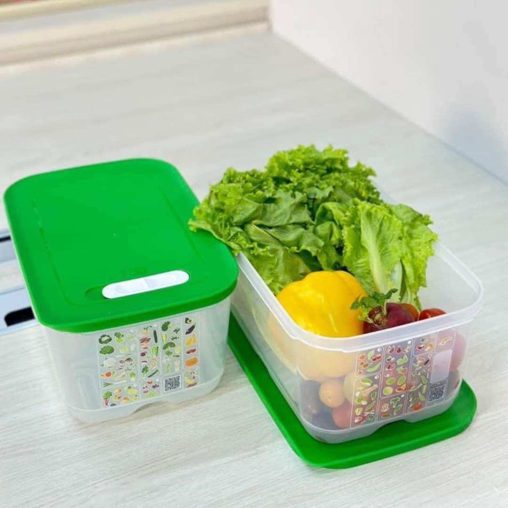 Hộp trữ mát Ventsmart 4.4L Tupperware chính hãng