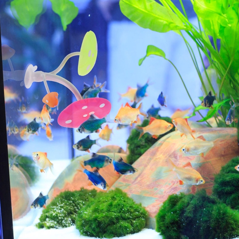 Lá Cây Nhân Tạo Có Giác Hút Gắn Bể Cá