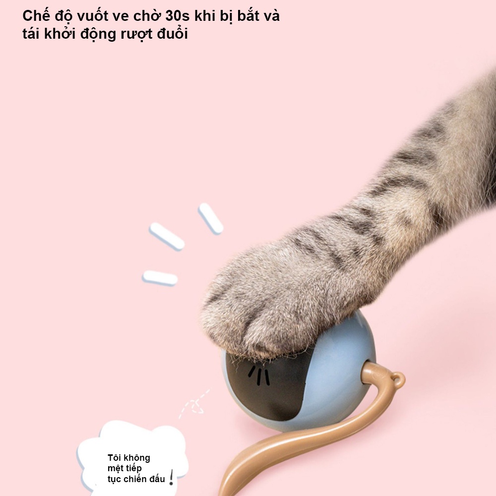 [FOFOS] Đồ Chơi Rượt Đuổi Dành Cho Mèo Thông Minh - Đồ Chơi Tương Tác Bóng Lăn 360 Độ - Smart Toy For Cat