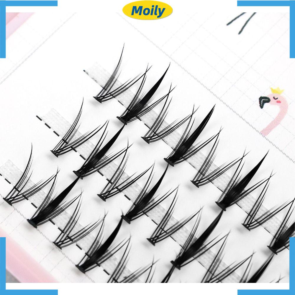 Hộp Lông Mi Giả Dày Dặn Xinh Xắn Dùng Trang Điểm