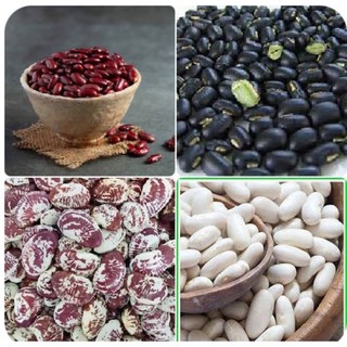 Đậu đỏ hạt to,đậu đỏ hạt nhỏ , đậu ngự, đậu tương, đậu đen nấu chè