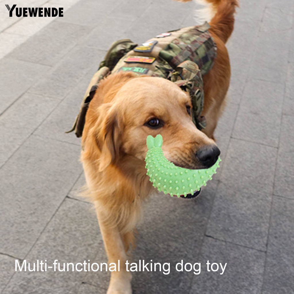 Đồ Chơi Mài Răng Linh Hoạt Bảo Vệ Thoải Mái Cho Thú Cưng