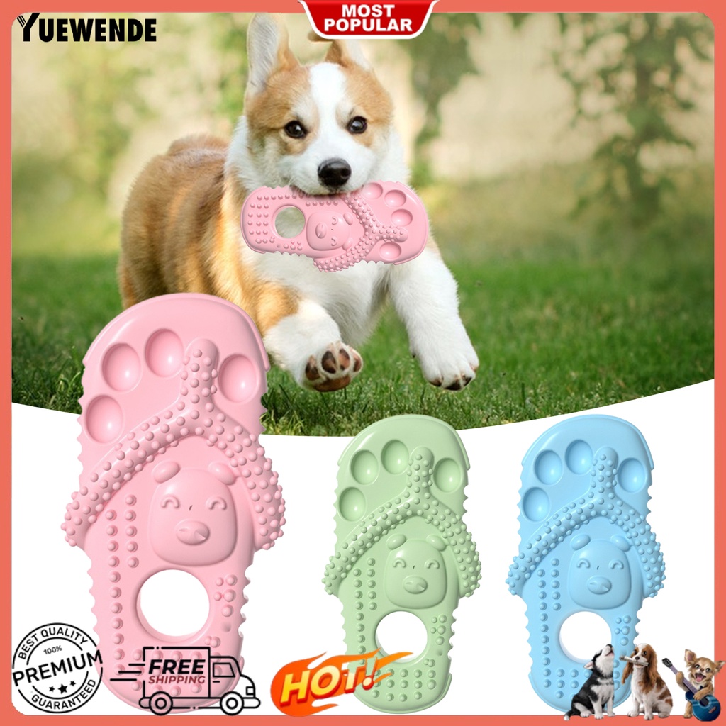 Đồ Chơi Nhử Chó YQ.E Chống Trầy Xước Chống Mòn Chống Mài Mòn Họa Tiết Hoạt Hình Sáng Tạo