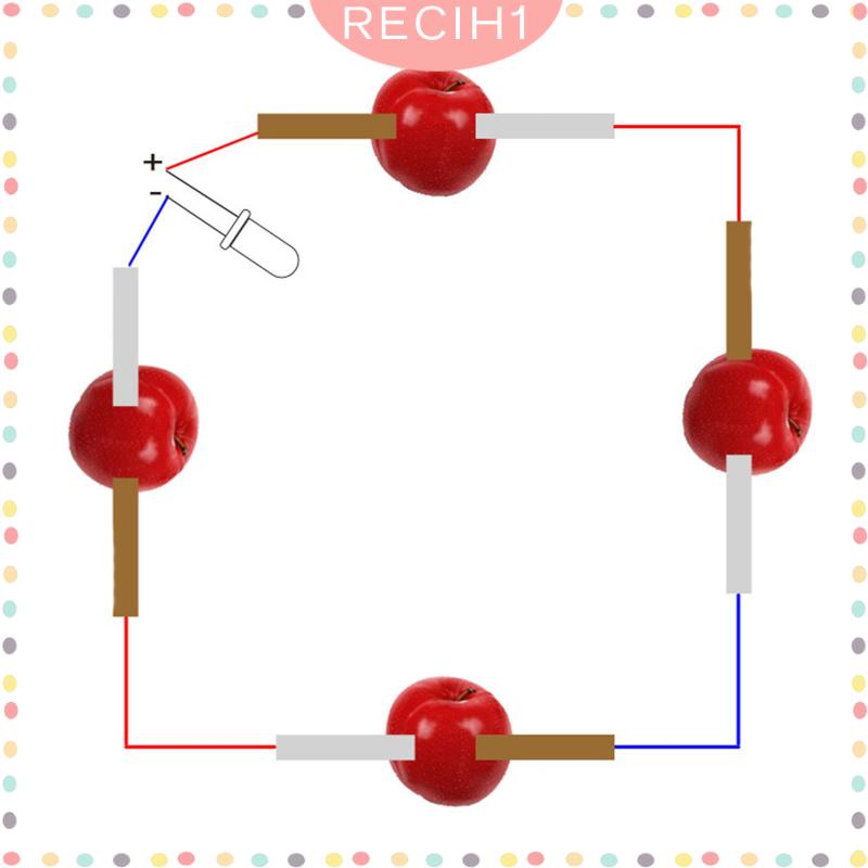Bộ Dụng Cụ Thí Nghiệm Khoa Học Tấm Đồng Và Tấm Kẽm Dành Cho Trẻ Em