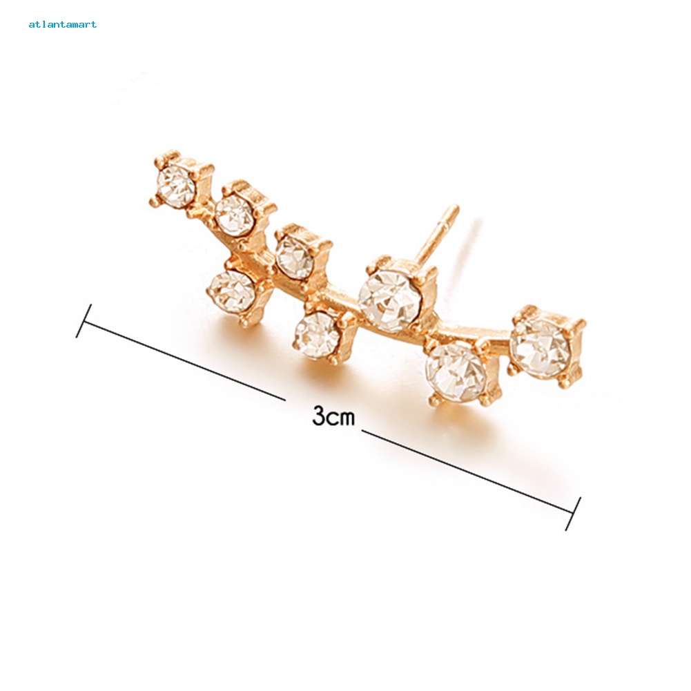 Túi Đựng Đồ Dùng Tiện Lợi Chất Lượng| 1 Bông Tai Hình Nhánh Cây Đính Đá Lấp Lánh Thời Trang Cho Nữ