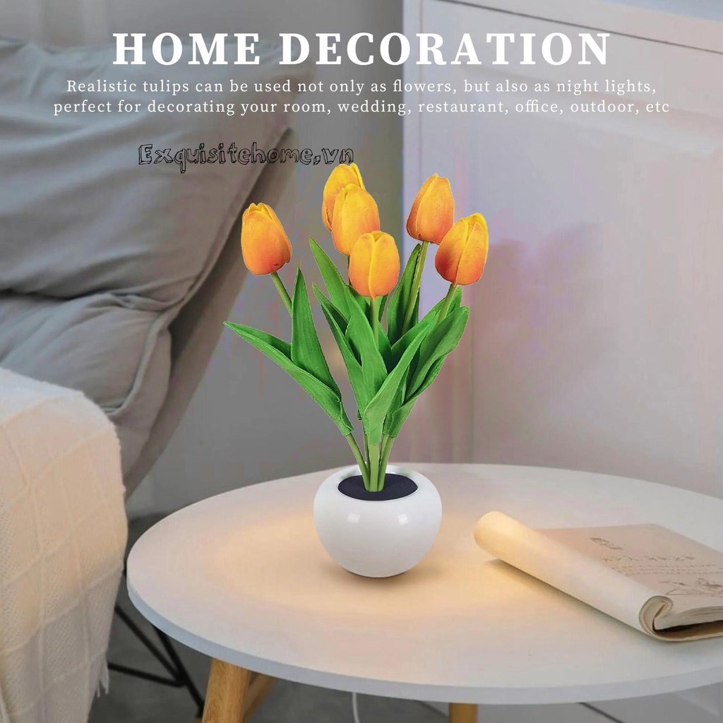 Đèn Ngủ Hình Hoa Tulip Chạy Bằng Pin