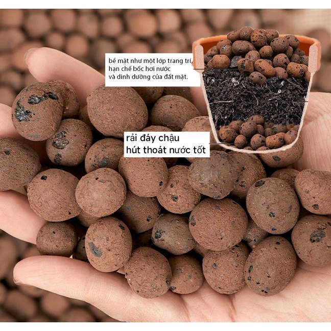 HẠT ĐẤT NUNG POOPER Siêu hút thấm nước, trang trí rải bề mặt đất kiểm soát dinh dưỡng cho sen đá, xương rồng