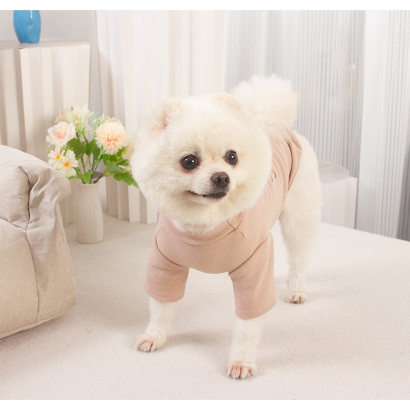 Áo Thun HìNh Thỏ Dễ Thương Cho Thú Cưng