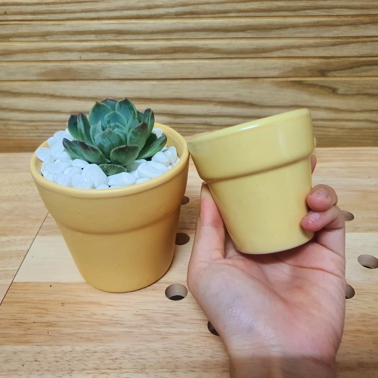 Chậu trồng cây cảnh mini - Sen Đá nhí - Xương Rồng - Hoa nhỏ gốm bát tràng 7 cm hoa văn ngẫu nhiên