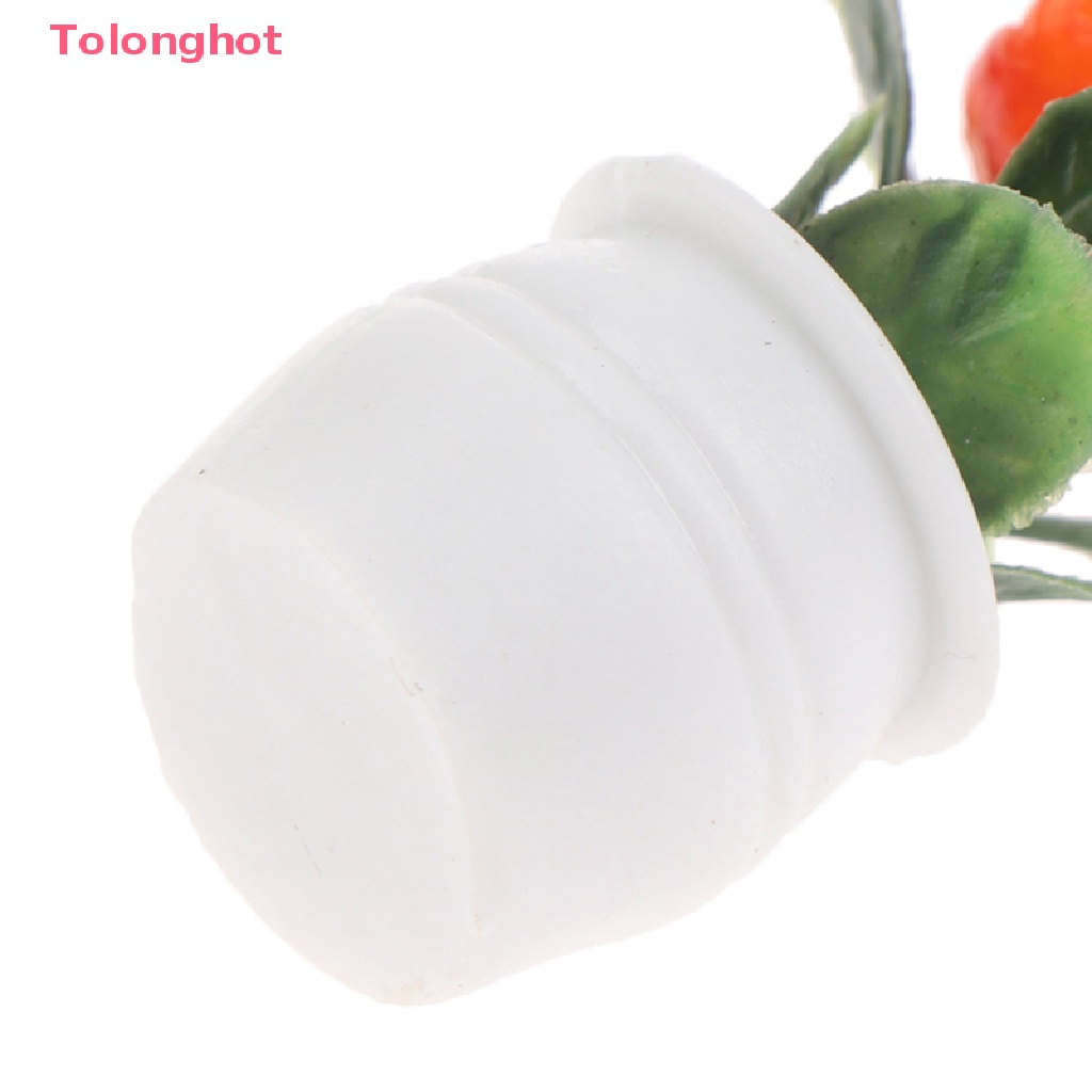 Bộ 5 Chậu Cây Mini Tỉ Lệ 1: 12 Dùng Trang Trí Nhà Búp Bê