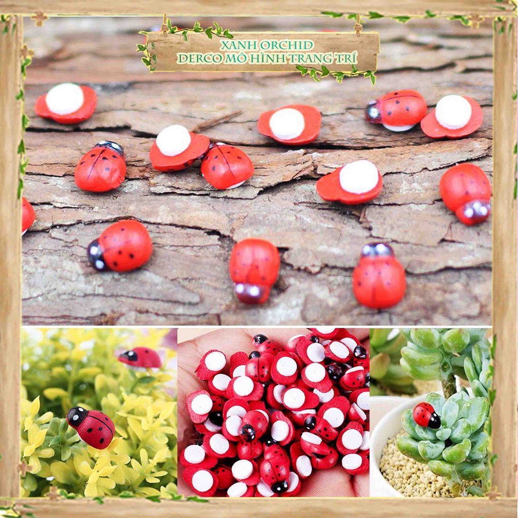 Mô Hình Tiểu Cảnh "Combo 10 bé Bọ Rùa Gỗ Mini" Trang Trí Sen Đá, Sân Vườn/ Chậu Cây, DYI, Terrarium