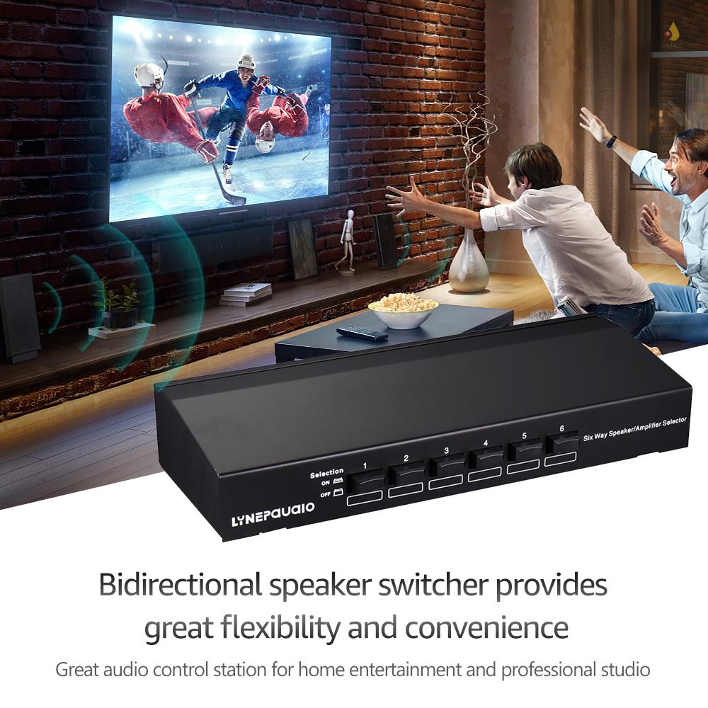 Bộ 6 Cặp Loa Âm Thanh Một Chiều Chuyên Dụng Lynepauario