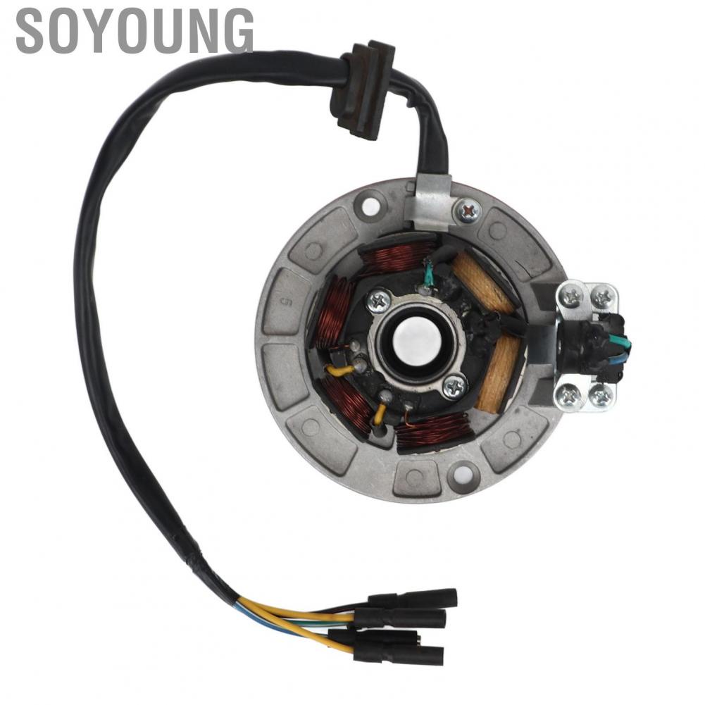 Soyoung Magneto Stator Coil  5 Wire Powerful for 150cc 160cc Kick Start Engine