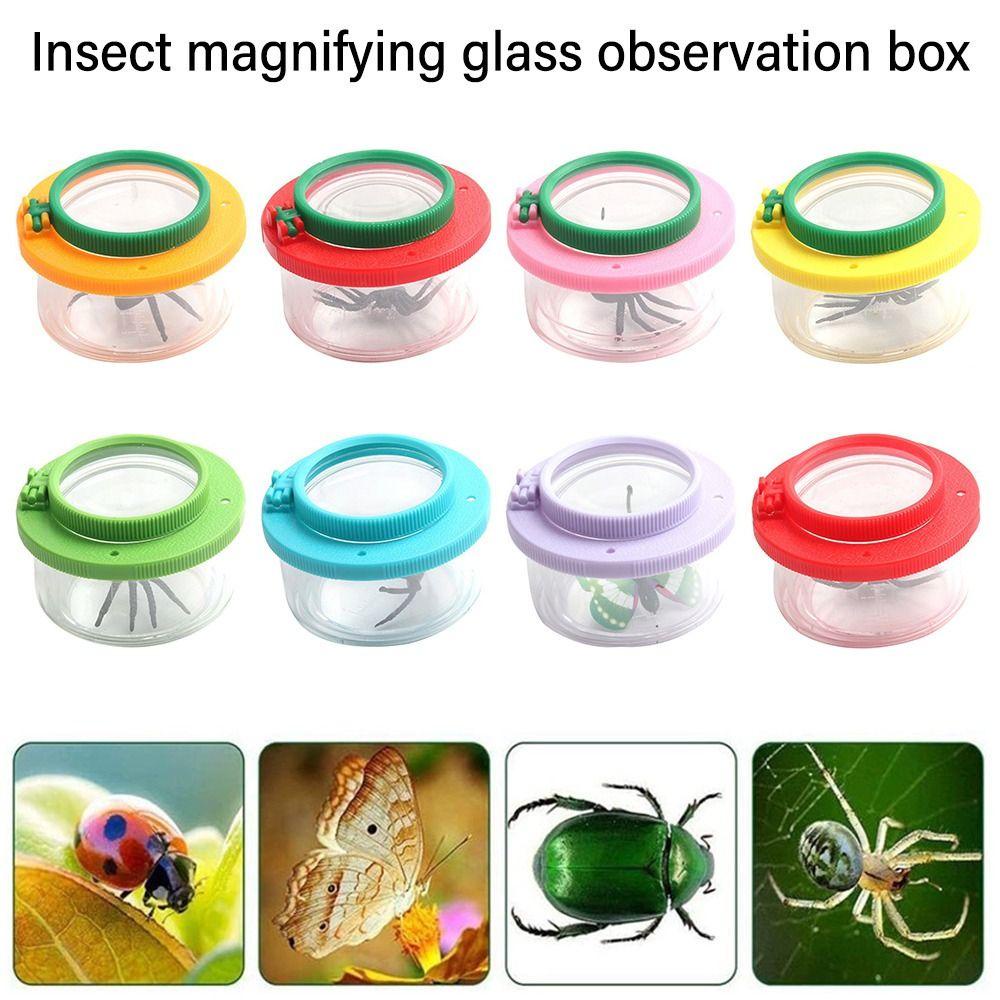 LET Bộ Dụng Cụ Quan Sát Côn Trùng Bằng Nhựa Cho Bé