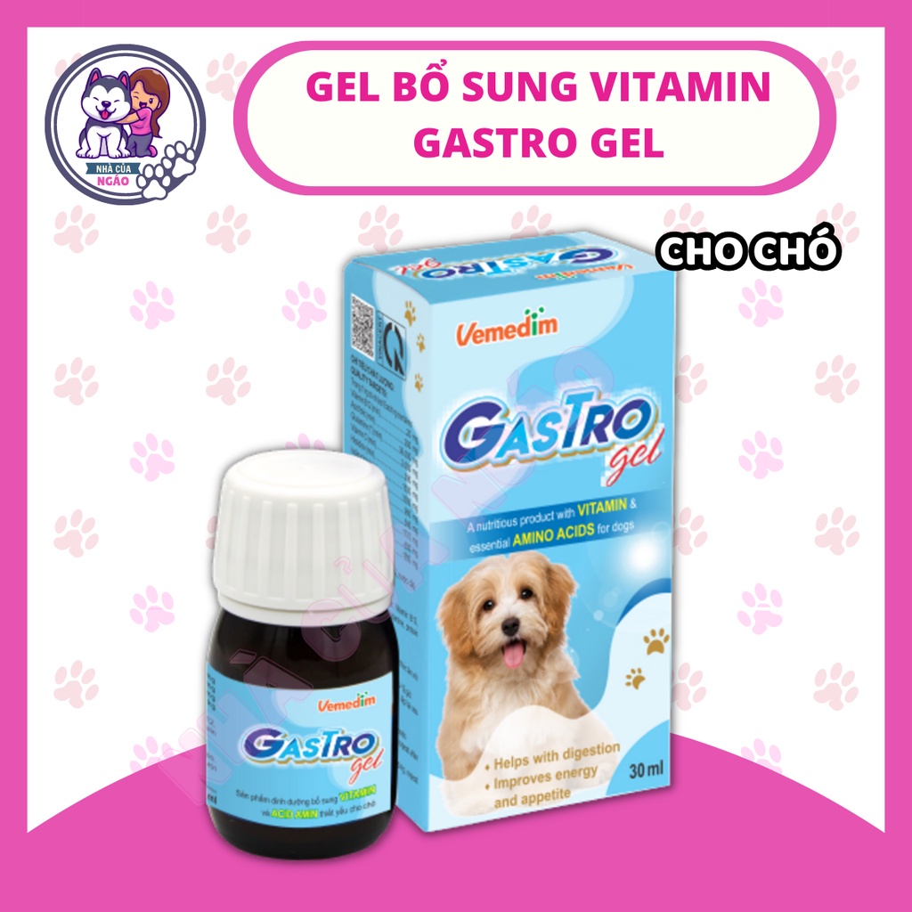 Gastro Gel hỗ trợ tiêu hóa kích thích thèm ăn, bổ sung vitamin dưỡng chất hàng ngày, tăng đề kháng cho chó mèo