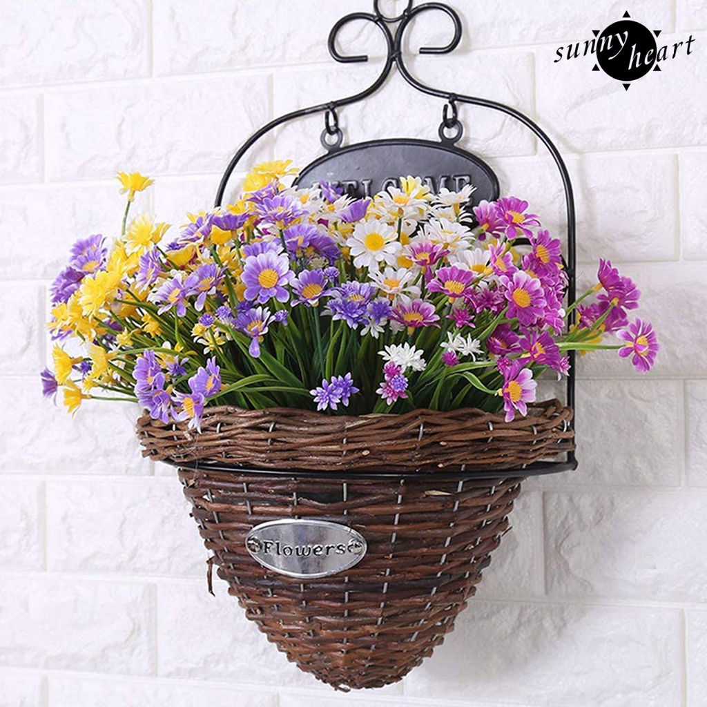 Cây Thân Dài Chống Tia UV Trang Trí Nhà Cửa