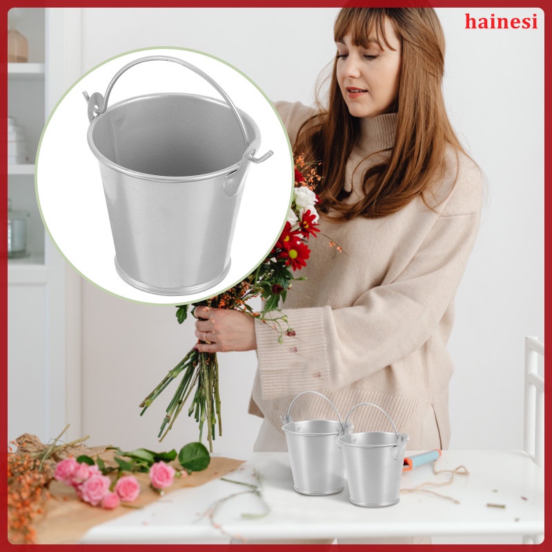 Xô Thiếc Trồng Khoai Tây Chiên Mini 6 Inch Tiện Dụng