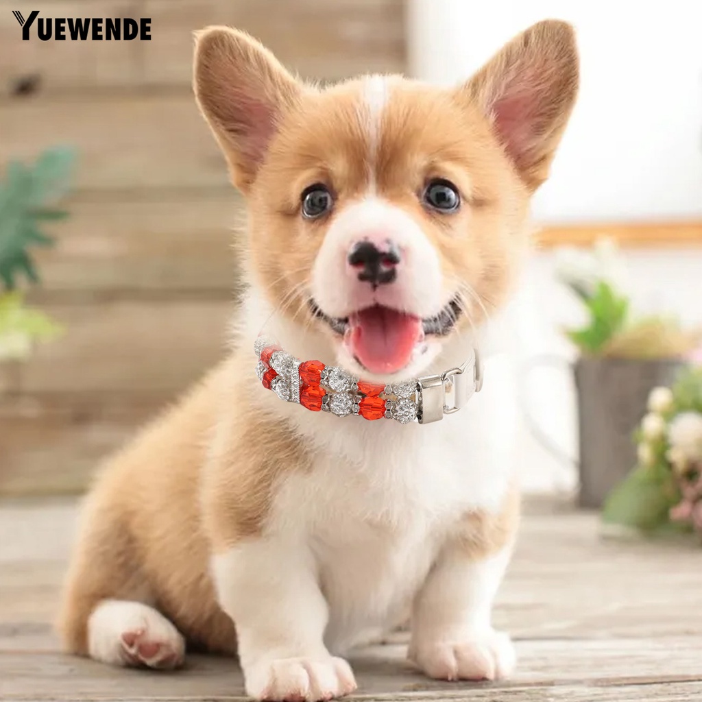 Vòng Cổ Đính Hạt 2 Hàng Màu Sắc Dành Cho Thú Cưng Cỡ Nhỏ / Vừa / Nhỏ