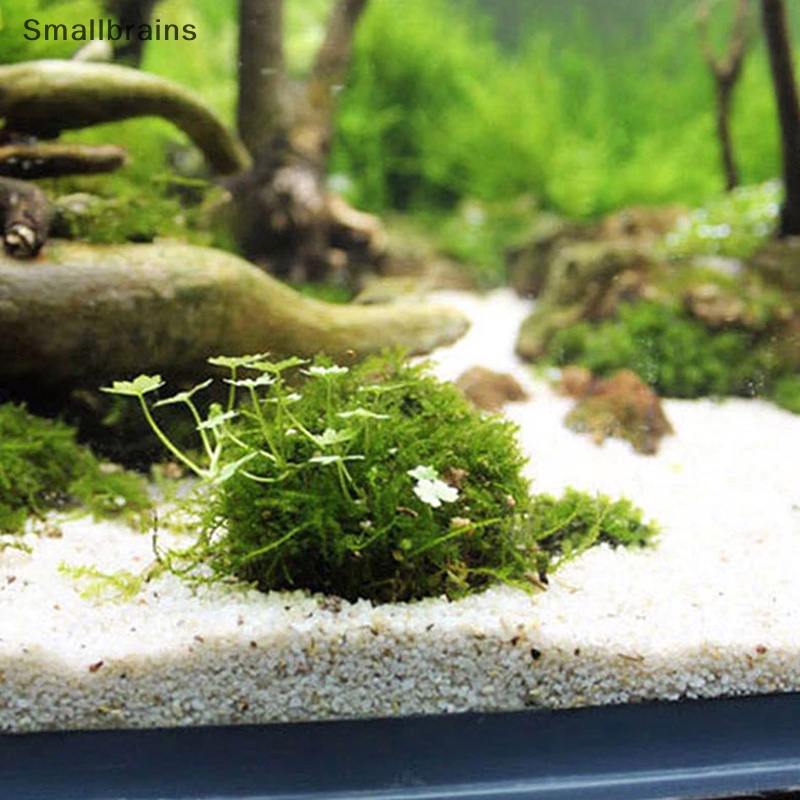 Quả Bóng Lọc Nước Trang Trí Bể Cá Cảnh