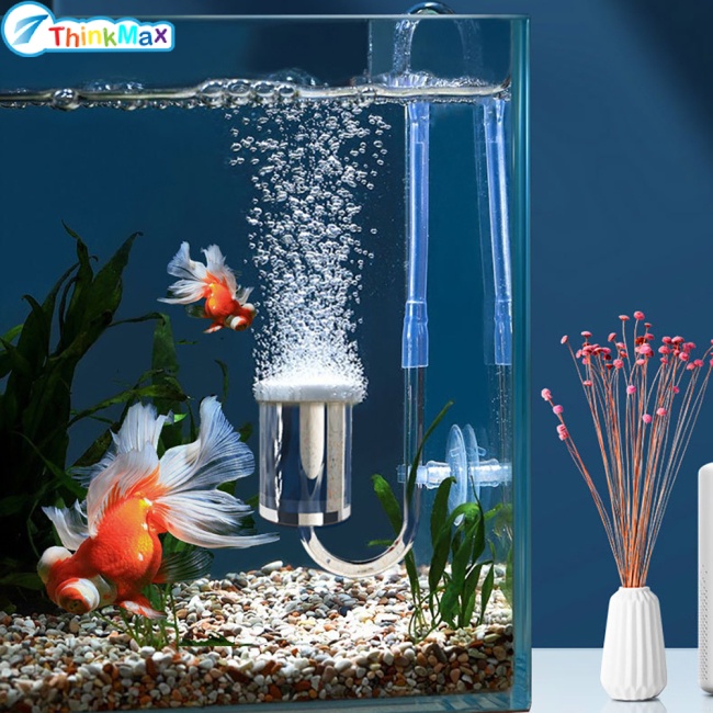 Đá Sủi Khí Oxy Không Gây Tiếng Ồn Chuyên Dụng Cho Bể Cá