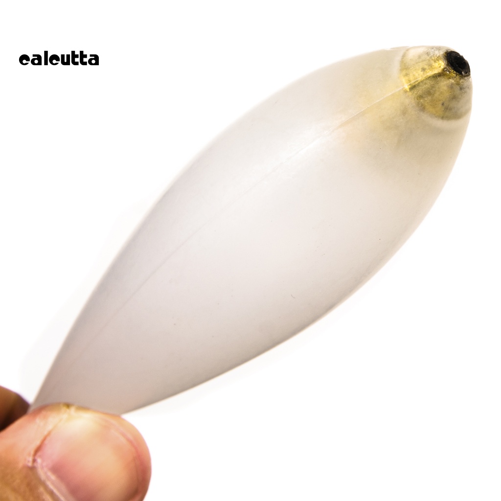 Phao Nổi Câu Cá Bằng Acrylic Dễ Sử Dụng Tiện Lợi