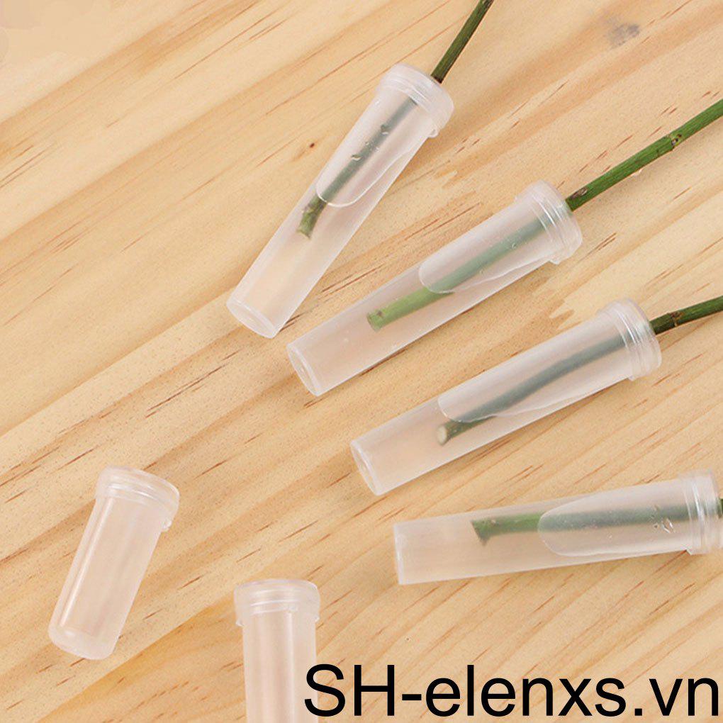 Ống Đựng Hoa Lan Trong Suốt - Showcase Beauty Of Blooms Đóng Gói Bó Hoa Đóng Gói Nước