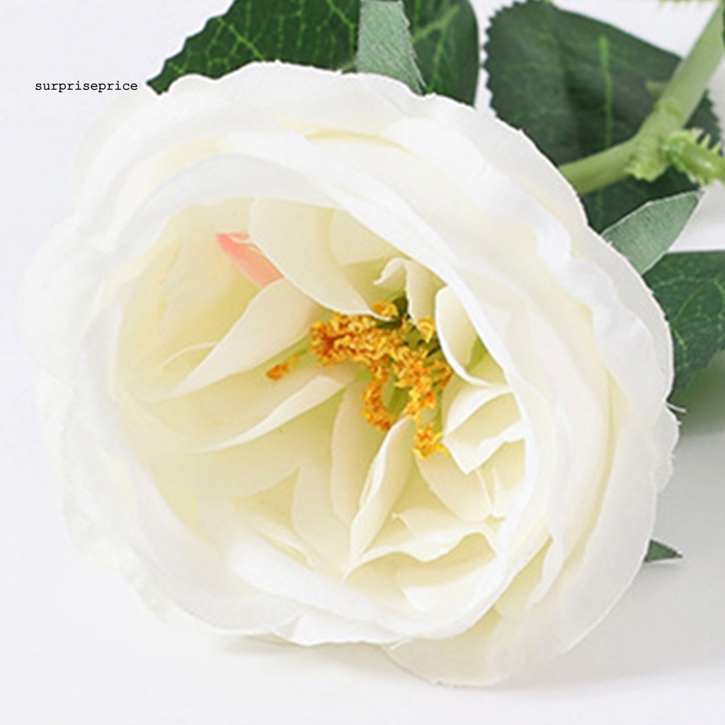 Hoa Hồng Nhân Tạo Màu Trong Suốt Lâu Trôi Dùng Làm Đạo Cụ Chụp Ảnh