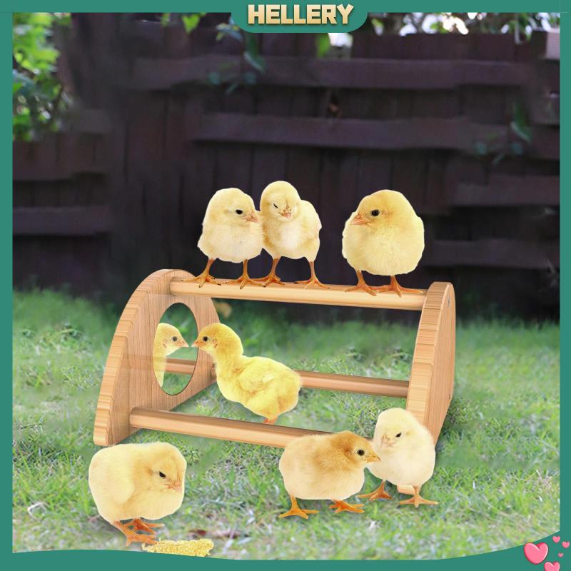 Giá Đỡ Gà Bằng Gỗ Dùng Huấn Luyện Chim Cảnh Tiện Dụng