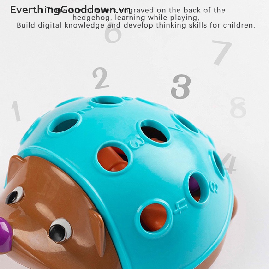 Everthinggooddown 1 Đồ Chơi Xếp Hình Nhím Đầy Màu Sắc Giáo Dục Theo Phương Pháp Montessori DIY vn
