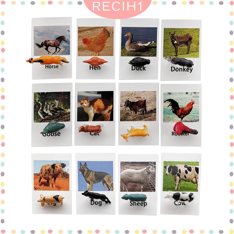 [Recih] Đồ Chơi Mô Hình Động Vật Biển Rừng Nhỏ Cho Bé Mẫu Giáo