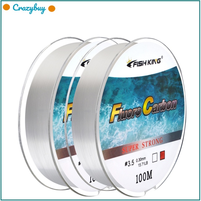 1 Cuộn Dây Câu Cá 100 M 5LB-30LB Siêu Bền