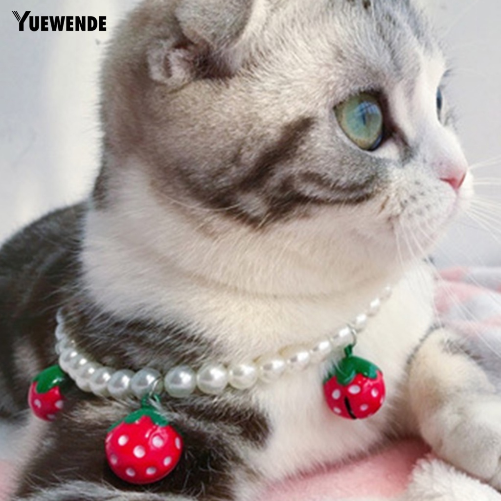 Dây Chuyền Đeo Cổ Bằng Kim Loại Trọng Lượng Nhẹ Họa Tiết Dâu Tây Dành Cho Thú Cưng