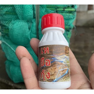 Mồi tôm, dạt tôm lên mặt nước - mồi bẫy tôm dạng nước