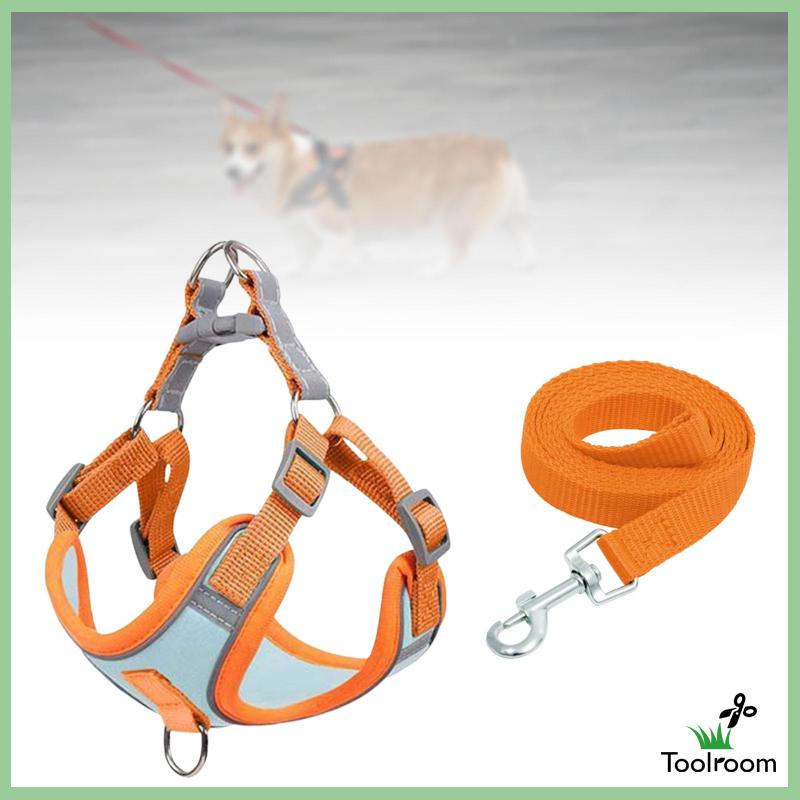 Đai Dắt Chó Đi Dạo Trọng Lượng Nhẹ Mềm Mại Tiện Dụng