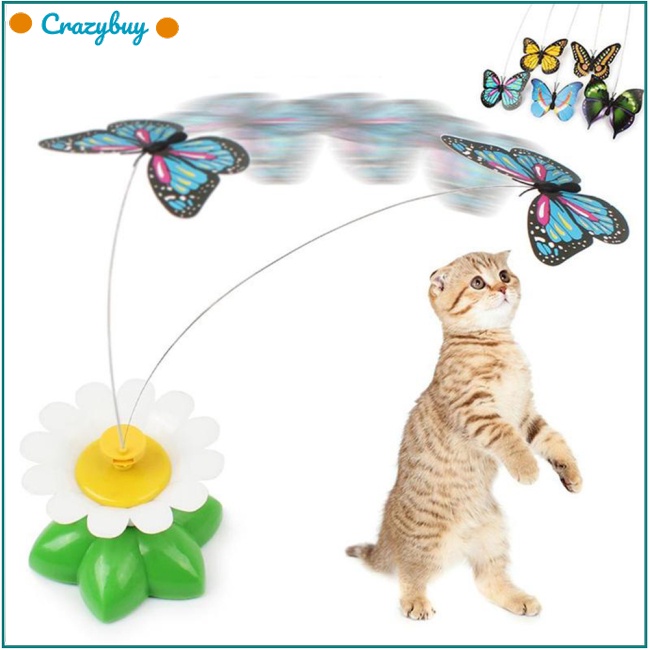 Cr Đồ Chơi Tương Tác Tự Động Xoay Hình Bướm / Chim Ruồi Độc Đáo Cho Mèo Cưng