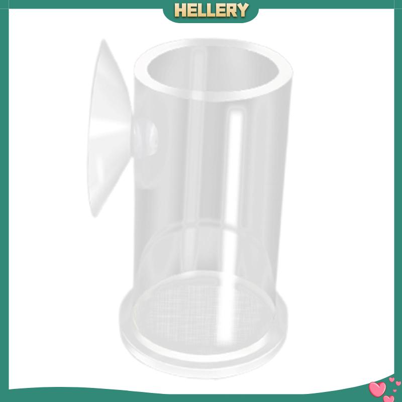 Ống Cho Cá Ăn Bằng Acrylic Trong Suốt Tiện Dụng